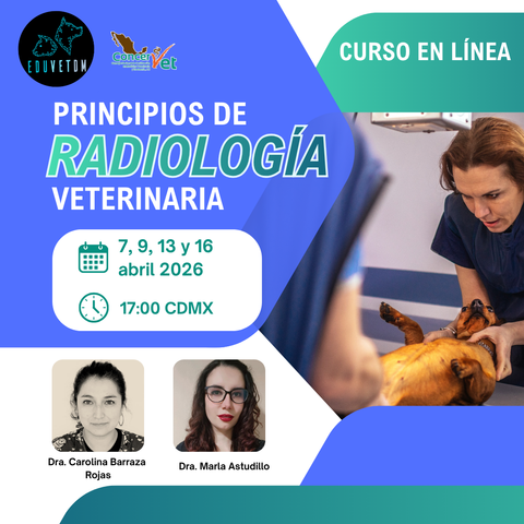 Principios de radiología veterinaria