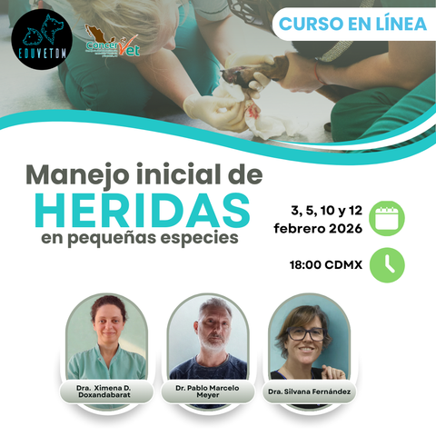 Manejo inicial de heridas