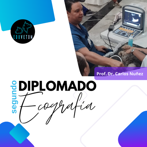 Diplomado Ecografía - Segunda edición