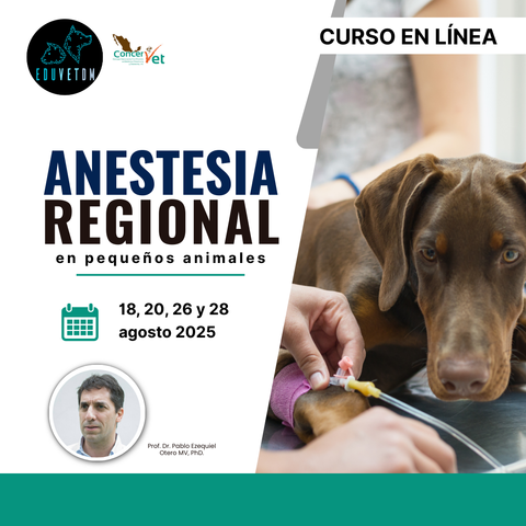 Anestesia regional en pequeños animales
