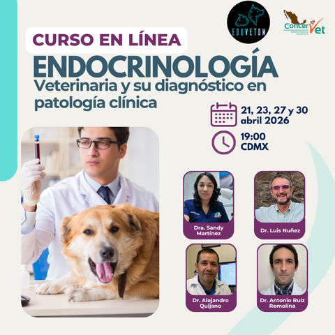 Endocrinología veterinaria y su diagnóstico en patología clínica