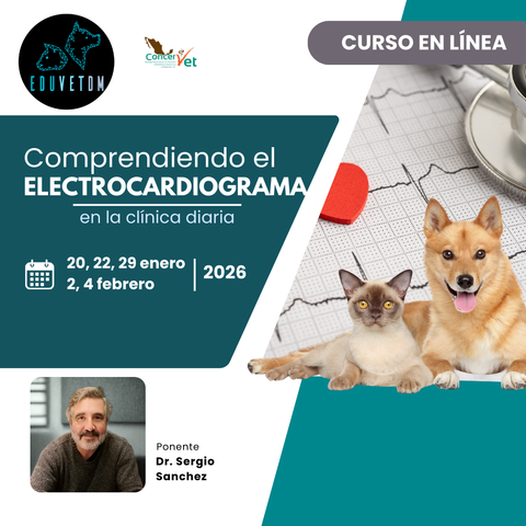 Comprendiendo el Electrocardiograma en la clínica diaria
