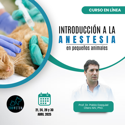 Introducción a la anestesia en pequeños animales