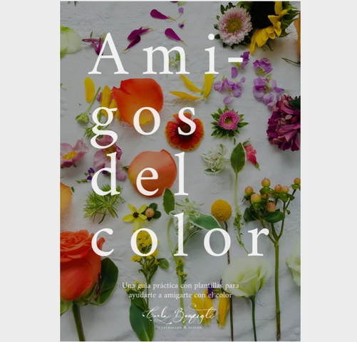 Ebook amigos del color 1