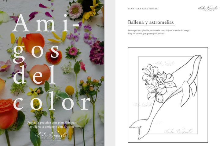 Ebook amigos del color 2