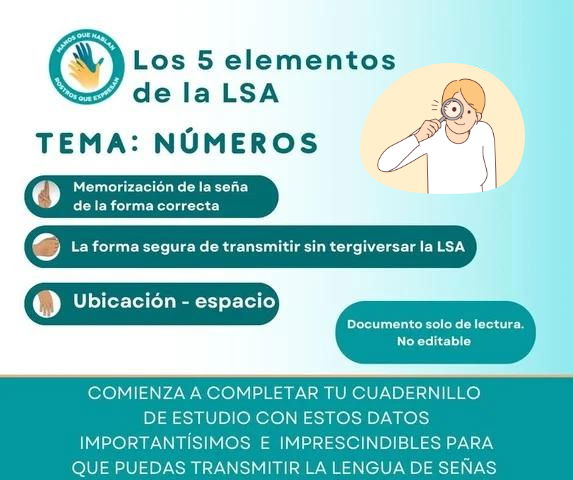 Los 5 Elementos de la LSA: 