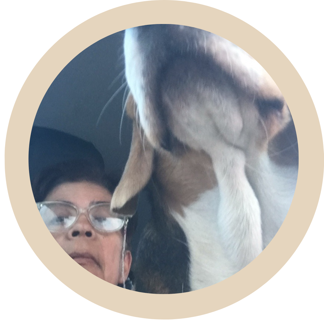 Roxana Venencia @roxanabeatrizvenencia