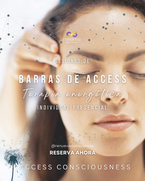 Barras de Access 