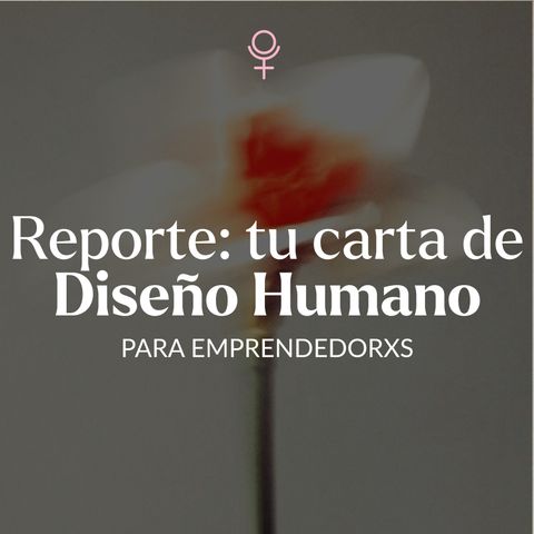 Reporte DH emprendedorxs