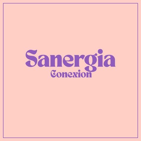 Sanergía Conexión