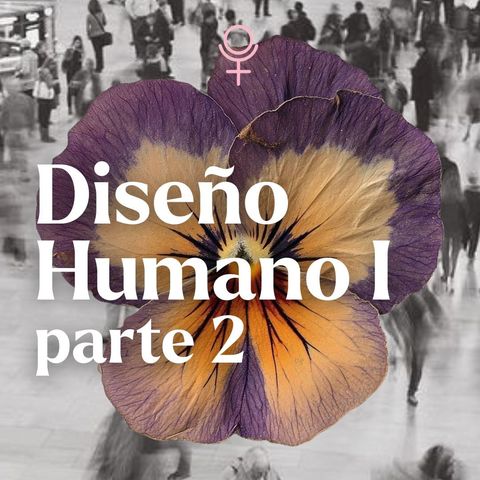 Diseño Humano 1 (II)