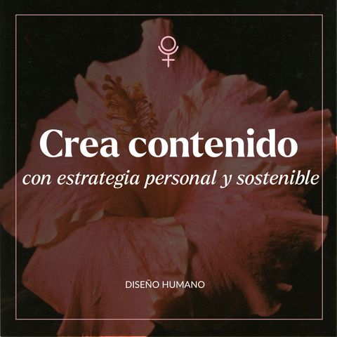 Crea contenido