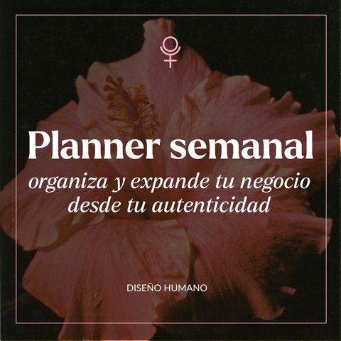 Planner Semanal