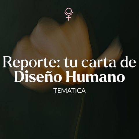 Reporte de DH Temática