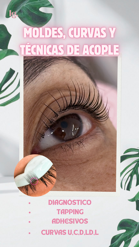 PERFECCIONAMIENTO MOLDES, CURVATURAS Y TÉCNICAS DE ACOPLE