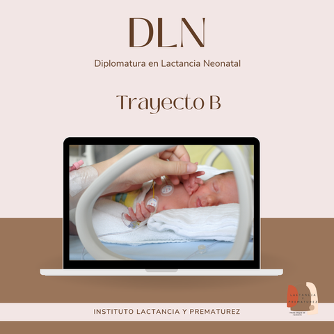 DLN 25: Trayecto Pedagógico B  ''El recién nacido en estado critico ''