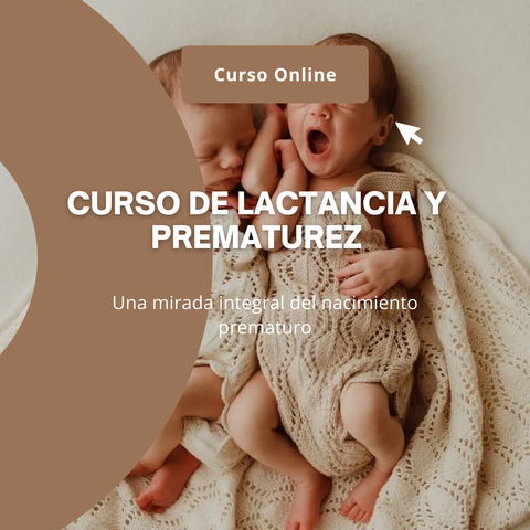 Curso de Lactancia y Prematurez 