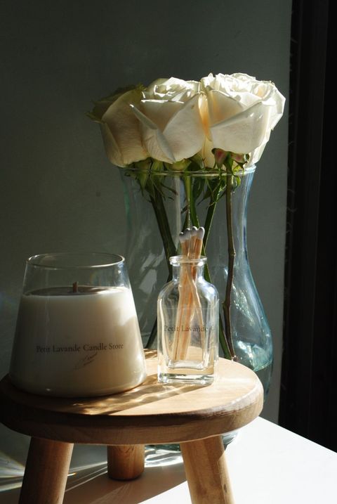 Delphine + set fosforos XL 