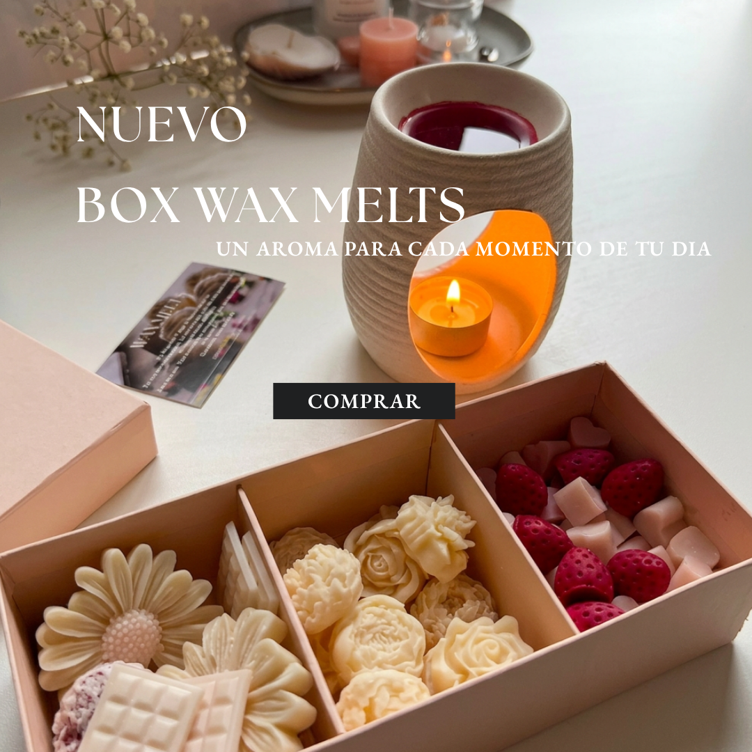 WAX MELTS