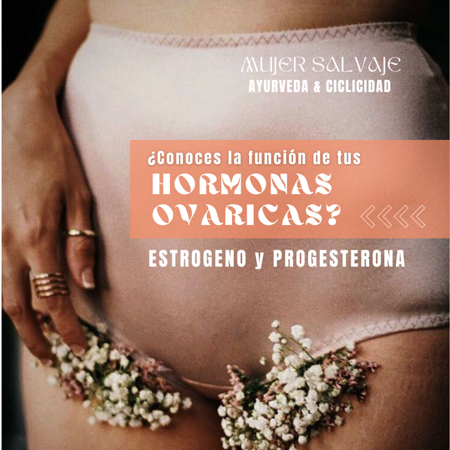 ¿Conocés las funciones de tus hormonas ováricas?