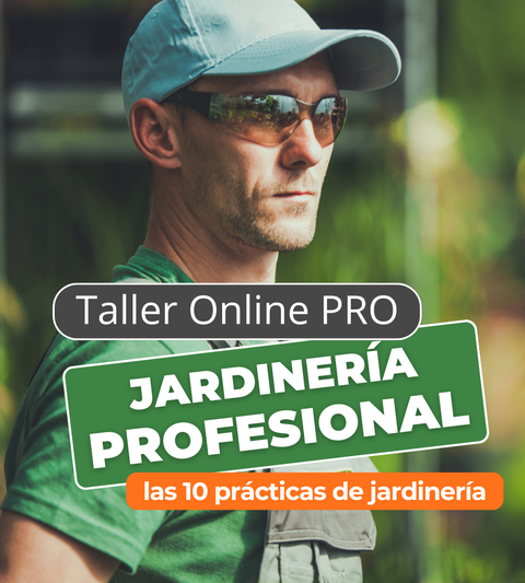 Taller Online PRO