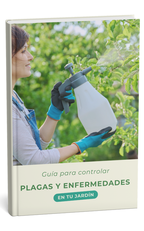 Guía para controlar plagas y enfermedades