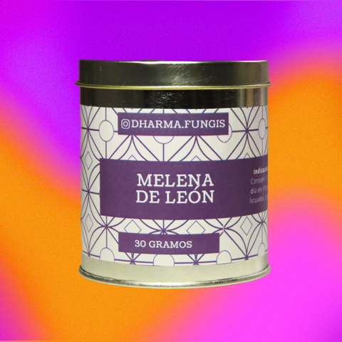 Melena de León en polvo 30gr