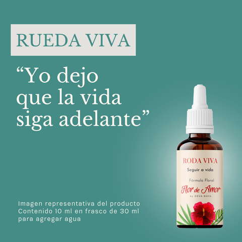 Rueda Viva