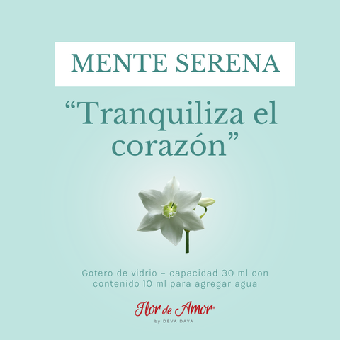 MENTE SERENA