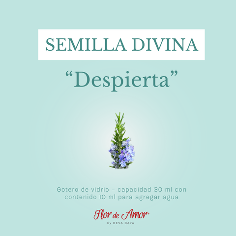 SEMILLA DIVINA