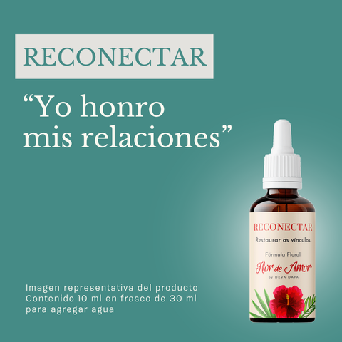 Reconectar