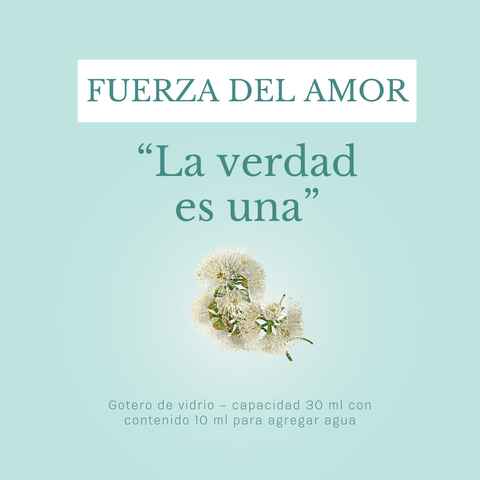 FUERZA DEL AMOR