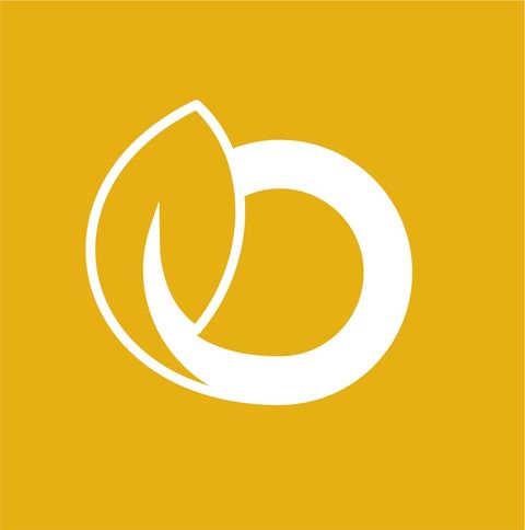 PLANTILLAS - Martes 10 a 13