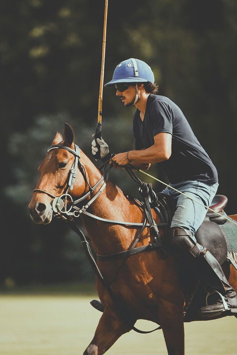 HECHURA DE CABALLOS PARA POLO