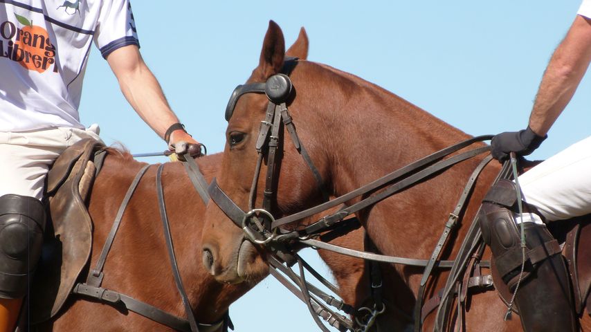 MEMBRESÍA POLO FUN