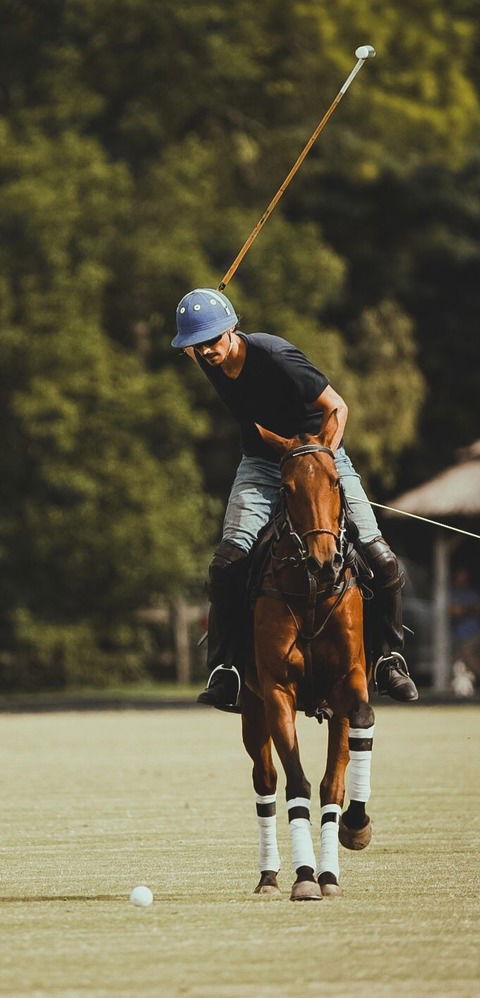 EQUITACIÓN, TÉCNICA Y JUEGO DE POLO