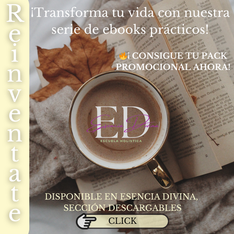 Transforma tu vida con estos ebooks prácticos. ¡Oferta de lanzamiento!