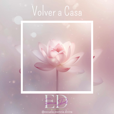 Volver a Casa: La Búsqueda Interior en Tiempos de Ruido