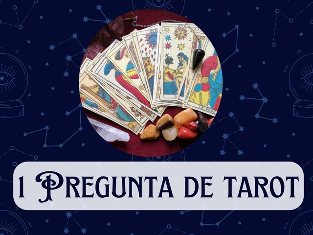 1 Pregunta
