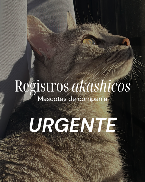 Registros AKASHICOS URGENTE