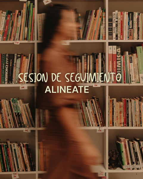 Sesiones de seguimiento (ALINEATE)