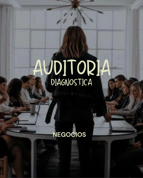 Auditoria Diagnostica (negocios)