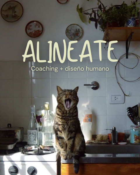 ALINEATE. Coaching + DH + Reg Akashicos para un negocio alineado