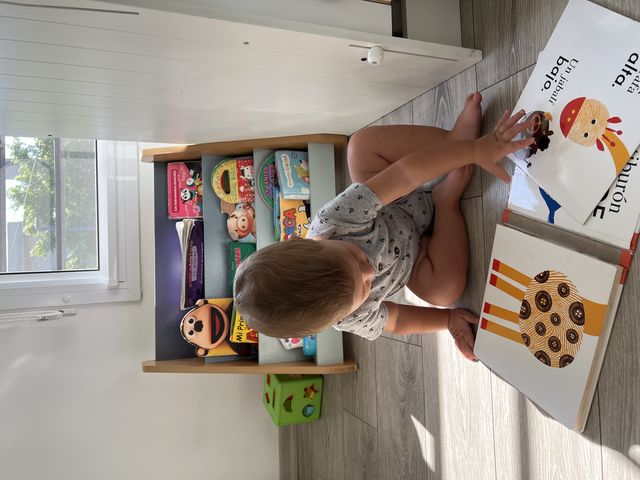 La alfabetización emergente 