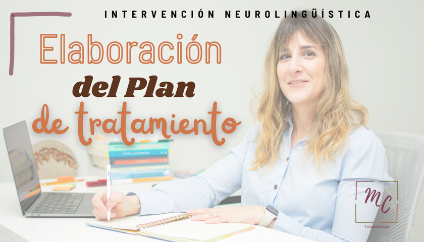 Elaboración de Plan de Tratamiento