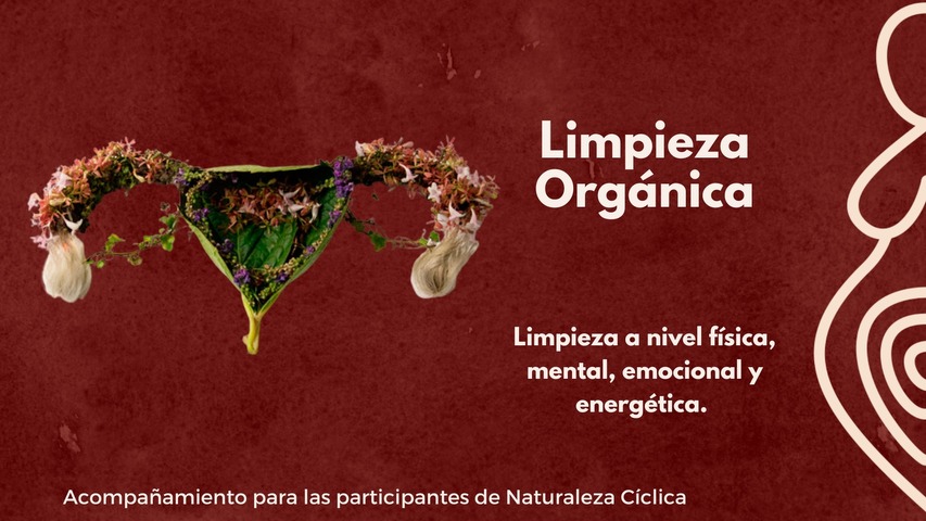 Taller de Naturaleza Cíclica y acompañamiento de desintoxicación de 40 días