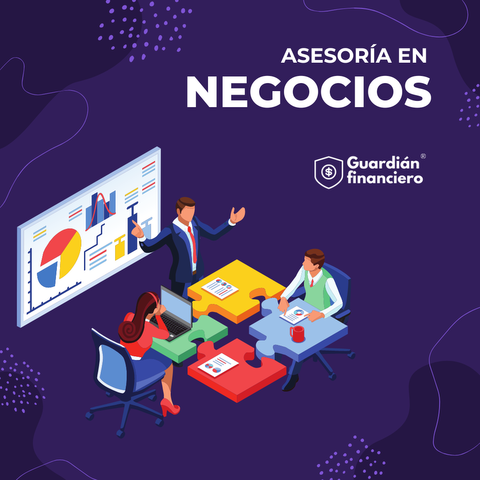 Asesoría en Negocios