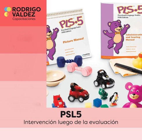 Intervención luego de la evaluación del PSL5 2025
