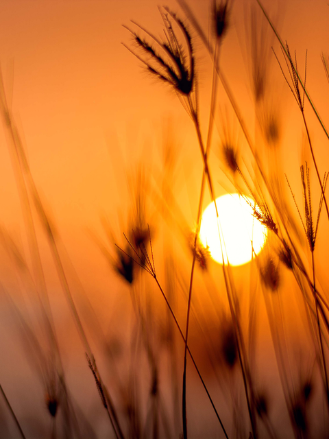 ¡Adorar no es cantar!