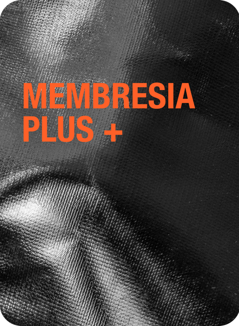 El Músico y los Cinco Ministerios MEMBRESIA PLUS